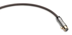 QED Reference Evolution XLR 40 Cable
