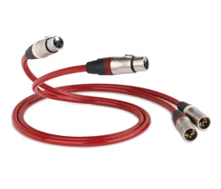 QED Reference Evolution XLR 40 Cable