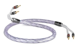 QED Signature Genesis Silver Spiral Speaker Cable